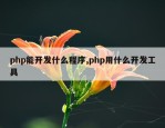 php能开发什么程序,php用什么开发工具