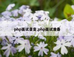 php面试录音,php面试准备